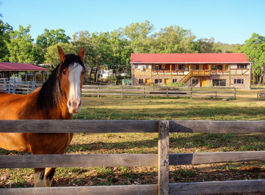 Pilliga Pottery Creative Farmstay Coonabarabran Værelse billede
